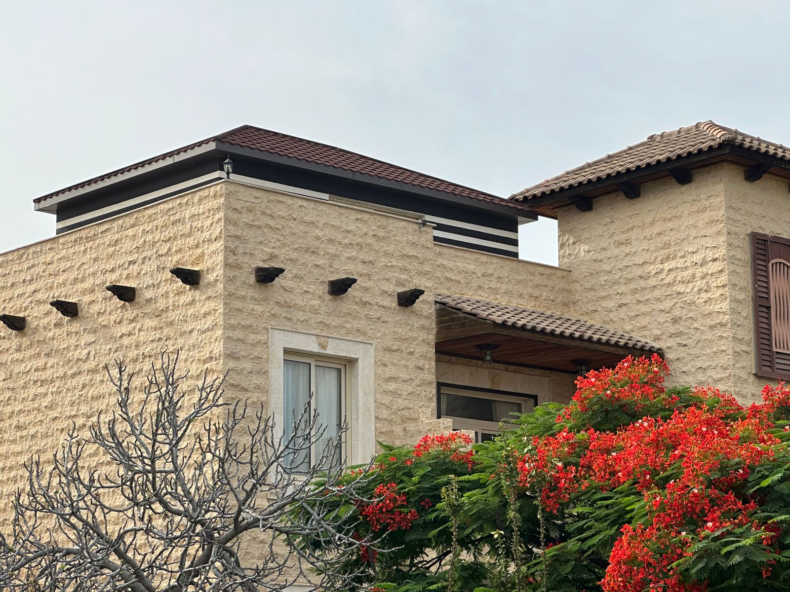 Medium Suite image 1